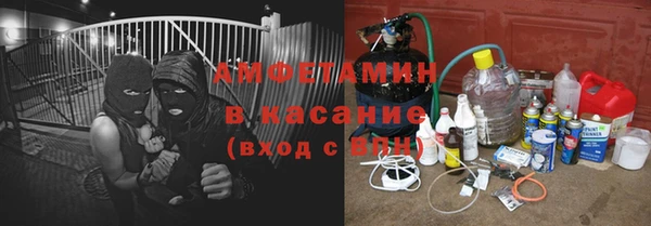 индика Дмитров