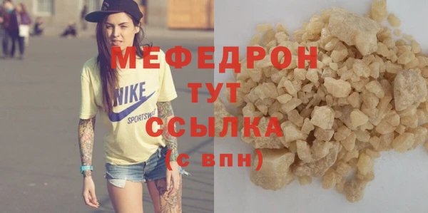 индика Дмитров