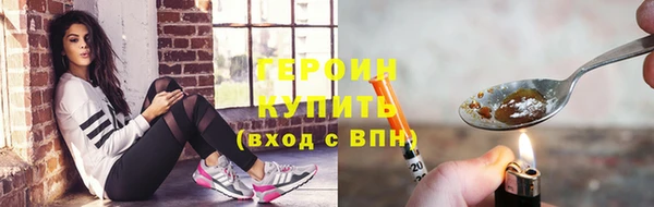 индика Дмитров