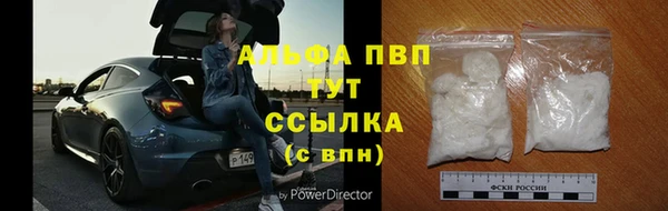 индика Дмитров