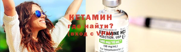 индика Дмитров