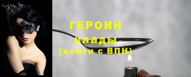 индика Дмитров