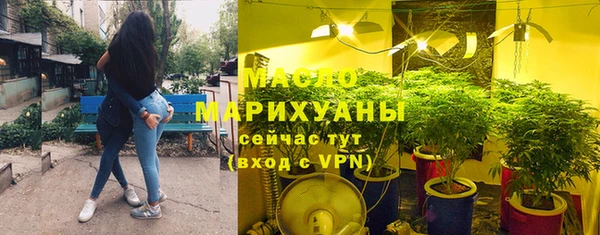 индика Дмитров