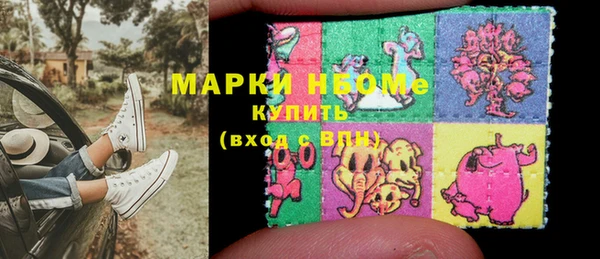 индика Дмитров
