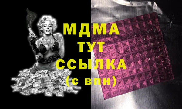 индика Дмитров
