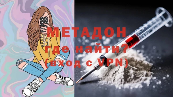 индика Дмитров