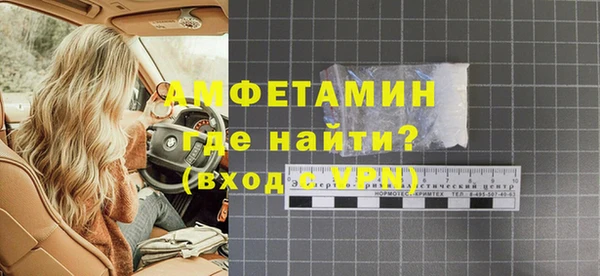 индика Дмитров