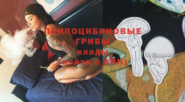 индика Дмитров